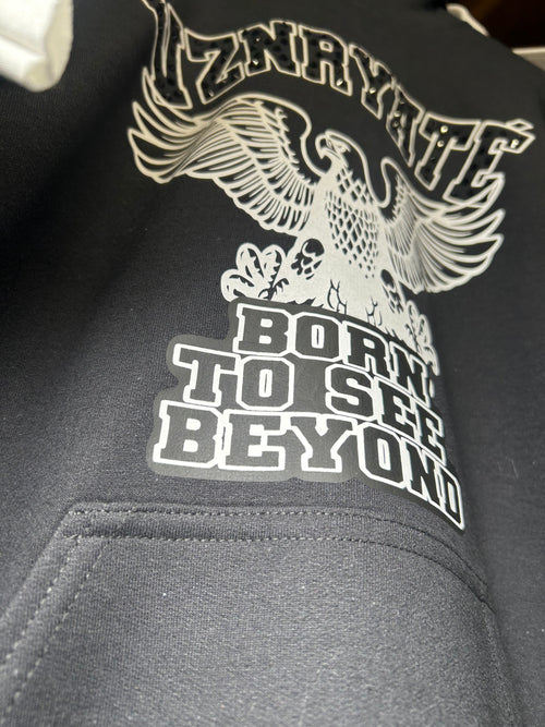 Beyond Limits Pull Over Hoodie