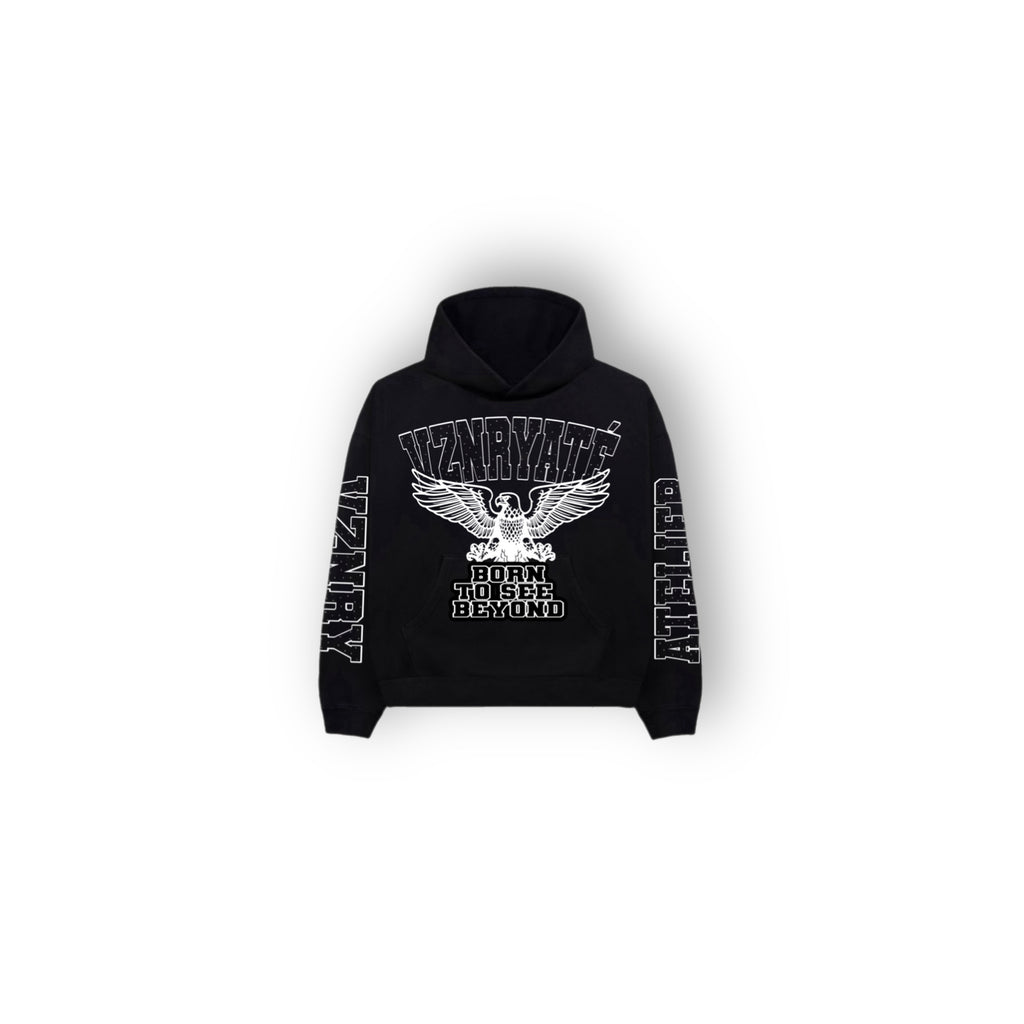 Beyond Limits Pull Over Hoodie